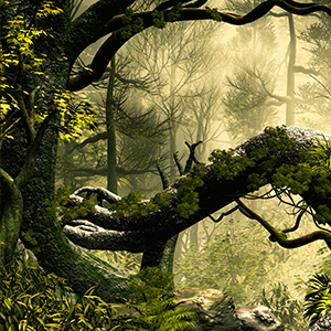 Tranh Rừng rậm - Chủ đề đang thịnh hành