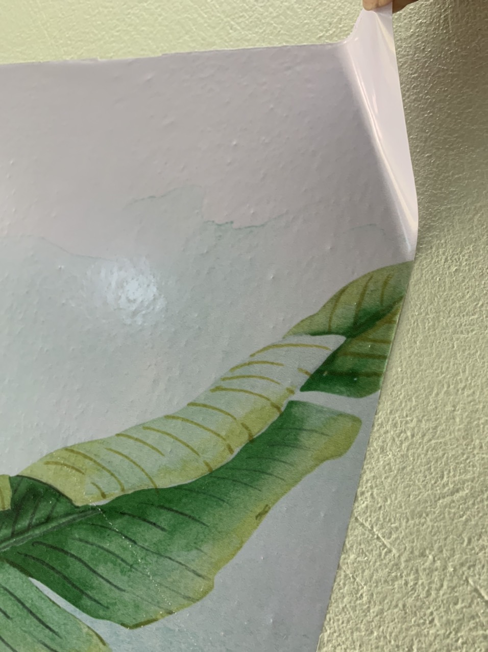 Vật liệu in Decal trong dán kính - Chất lượng cao