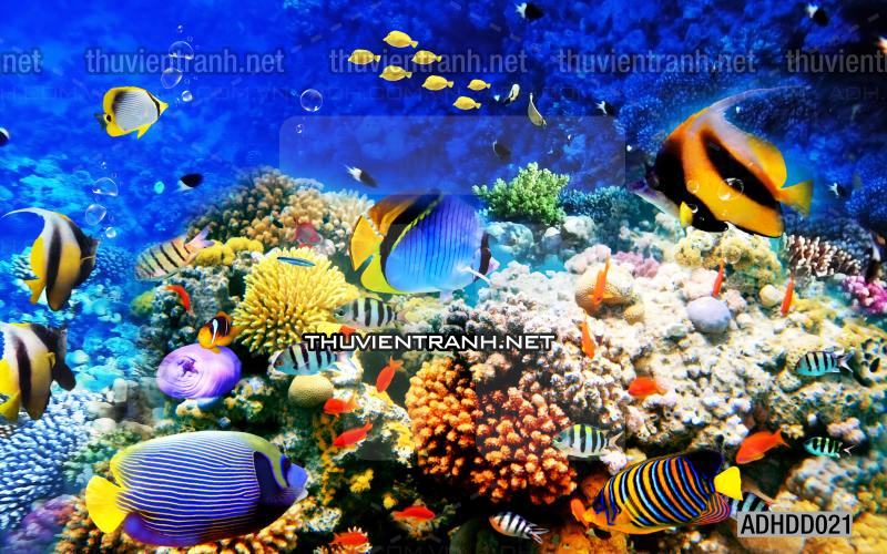 Tranh 3D cảnh dưới đáy Đại Dương xanh, tranh dán tường trang trí sinh vật Biển - Kết quả tìm kiếm tranh tường