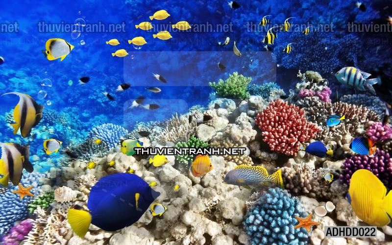 Tranh 3D cảnh dưới đáy Đại Dương xanh, tranh dán tường trang trí sinh vật Biển - Kết quả tìm kiếm tranh tường