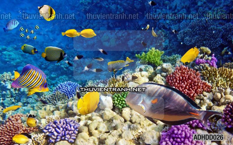 Tranh 3D cảnh dưới đáy Đại Dương xanh, tranh dán tường trang trí sinh vật Biển - Kết quả tìm kiếm tranh tường