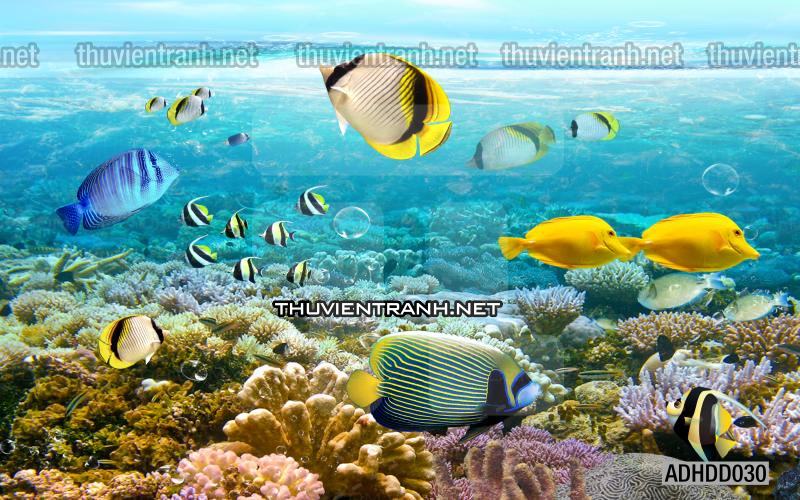 Tranh 3D cảnh dưới đáy Đại Dương xanh, tranh dán tường trang trí sinh vật Biển - Kết quả tìm kiếm tranh tường