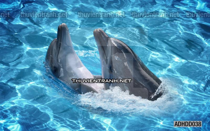 Tranh 3D cảnh dưới đáy Đại Dương xanh, tranh dán tường trang trí sinh vật Biển - Kết quả tìm kiếm tranh tường