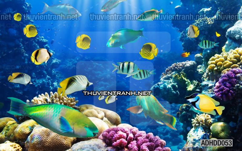 Tranh 3D cảnh dưới đáy Đại Dương xanh, tranh dán tường trang trí sinh vật Biển - Kết quả tìm kiếm tranh tường
