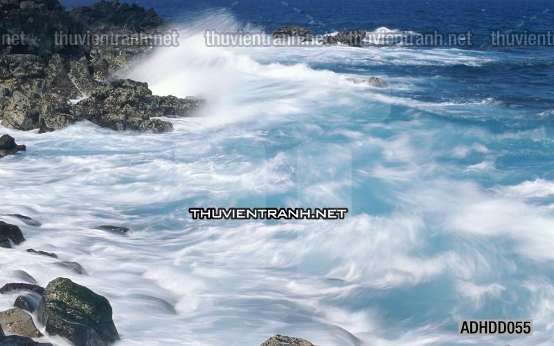 Tranh 3D cảnh dưới đáy Đại Dương xanh, tranh dán tường trang trí sinh vật Biển - Kết quả tìm kiếm tranh tường