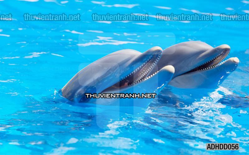 Tranh 3D cảnh dưới đáy Đại Dương xanh, tranh dán tường trang trí sinh vật Biển - Kết quả tìm kiếm tranh tường
