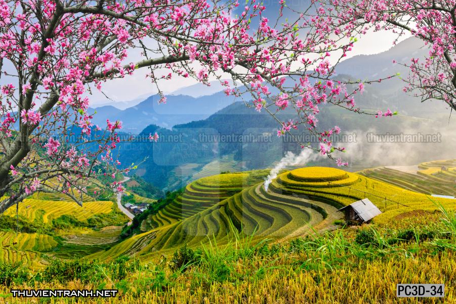 Tranh Phong cảnh 3D, Tranh phong cảnh hữu tình, phong cảnh đẹp - Tranh tường chất lượng cao