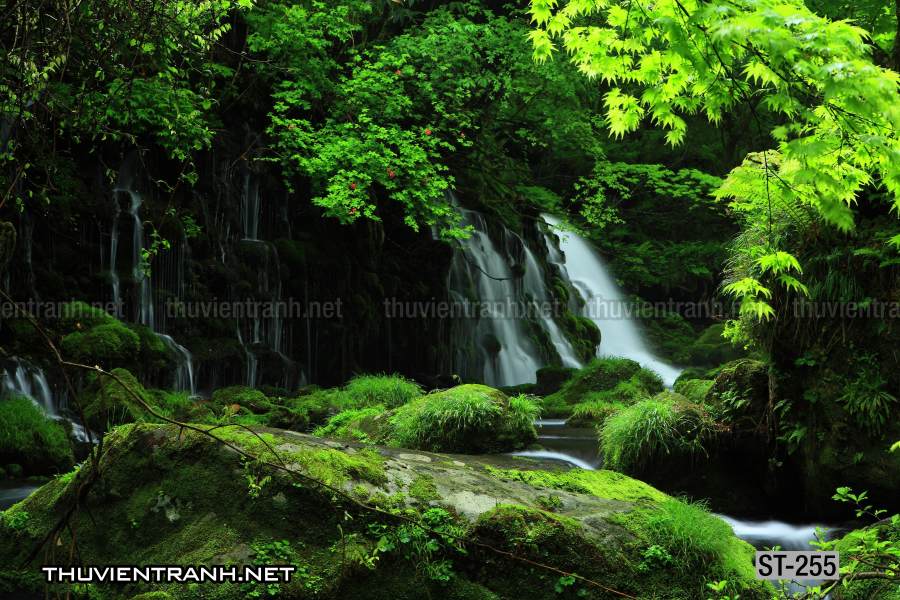Tranh thác nước, phong cảnh thác nước, thiên nhiên đẹp - Tranh tường chất lượng cao