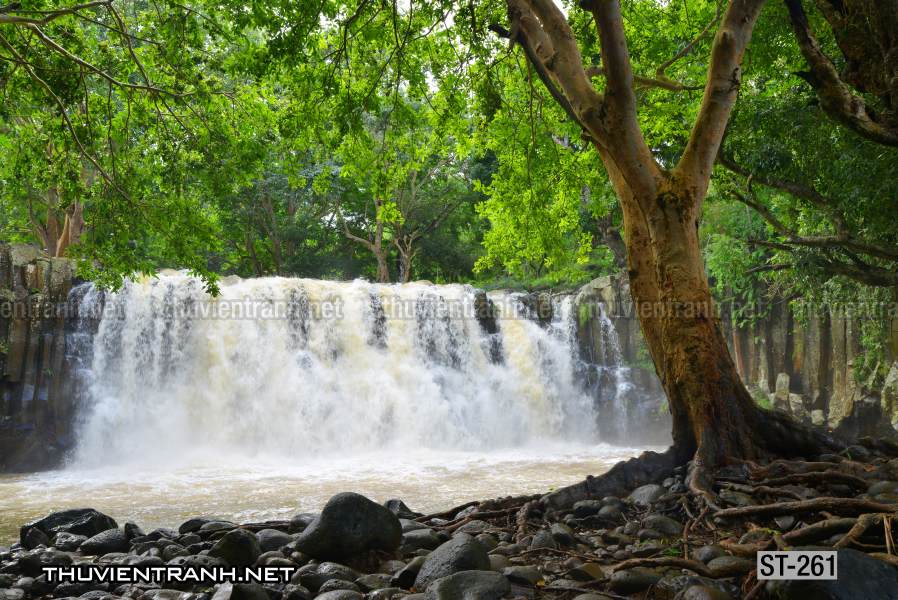 Tranh thác nước, phong cảnh thác nước, thiên nhiên đẹp - Tranh tường chất lượng cao