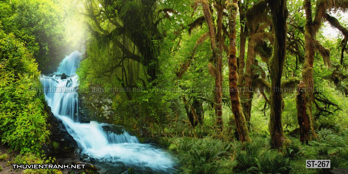Tranh thác nước, phong cảnh thác nước, thiên nhiên đẹp - Tranh tường chất lượng cao