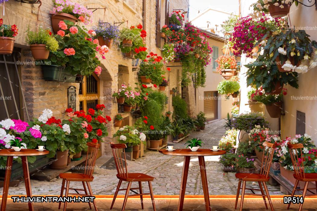  Tranh dán tường đường phố Châu Âu - Tranh tường chất lượng cao