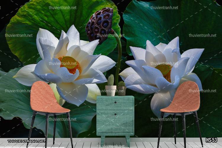 Tranh dán tường Hoa Sen - Tranh tường chất lượng cao
