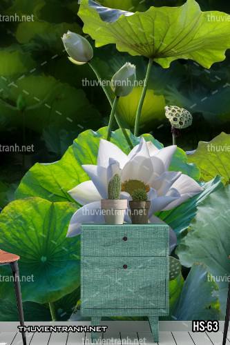  Tranh dán tường Hoa Sen - Tranh tường chất lượng cao