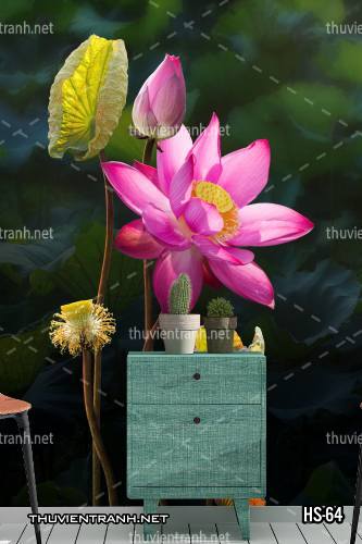  Tranh dán tường Hoa Sen - Tranh tường chất lượng cao