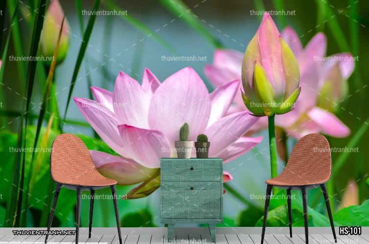  Tranh dán tường Hoa Sen - Tranh tường chất lượng cao