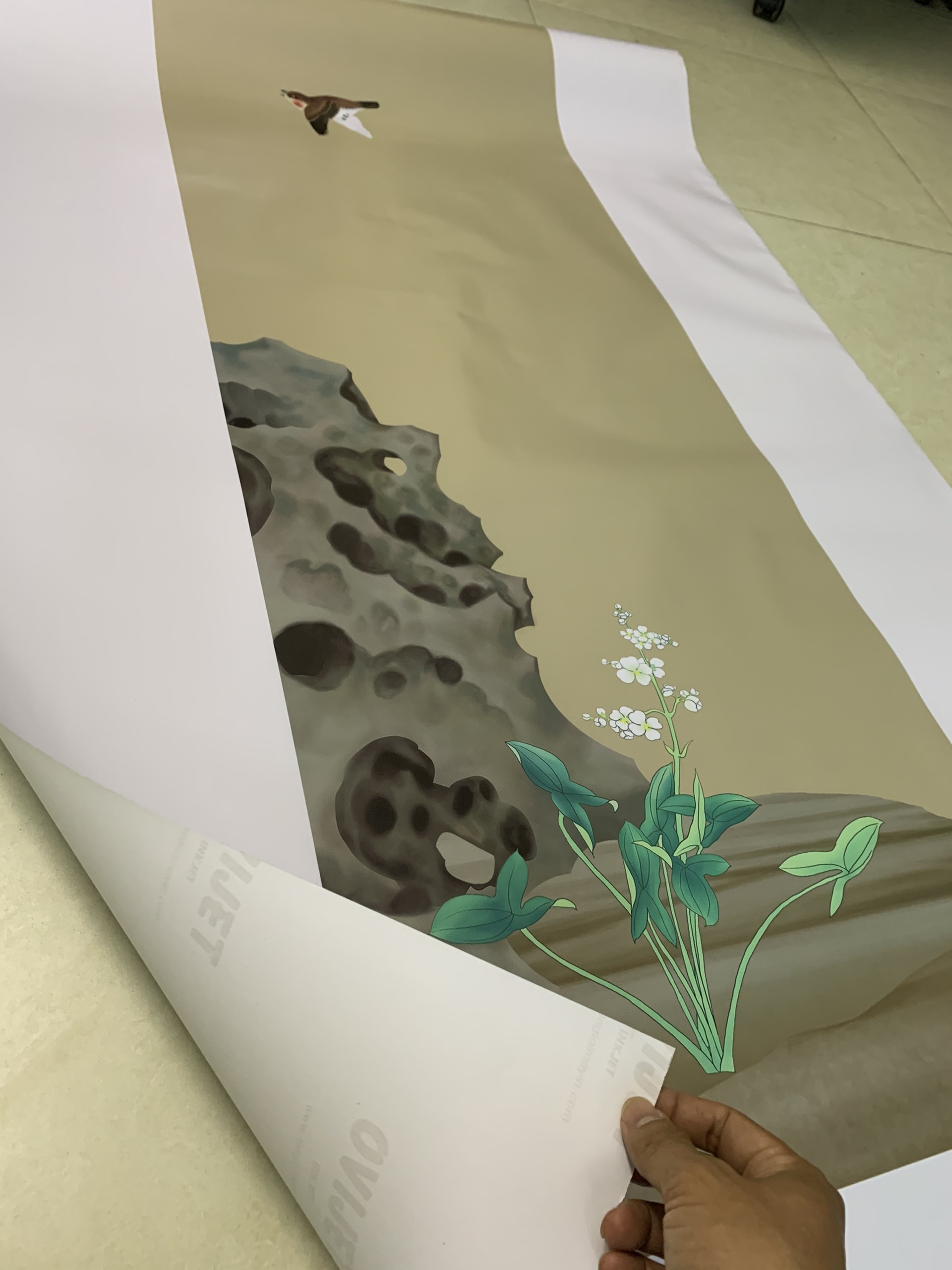 Ví dụ chất liệu Decal